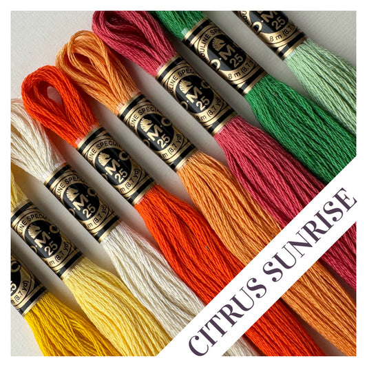 Citrus Sunrise Embroidery Floss Palette ⎮ DMC Embroidery Thread